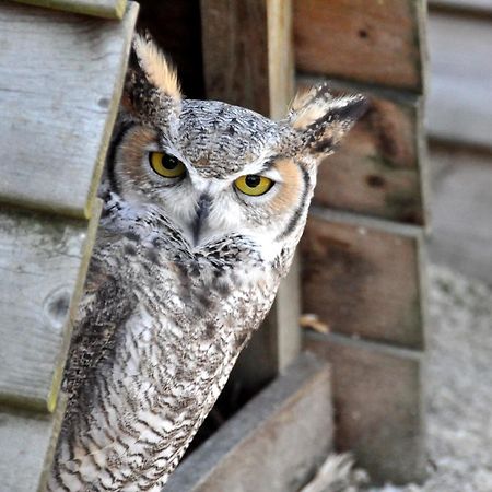 B&B 'T Solveldje Bilzen Bagian luar foto