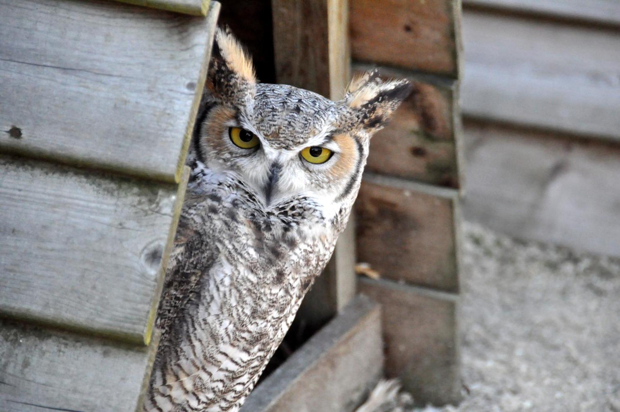B&B 'T Solveldje Bilzen Bagian luar foto